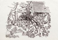 Lamorna Mill pen and ink